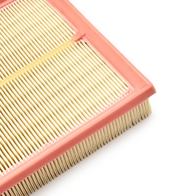 Air Filter RIDEX 8A0110 8A0110 - photo 8