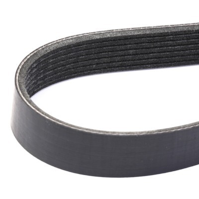 V-Ribbed Belt RIDEX 305P0310 305P0310 - photo 3