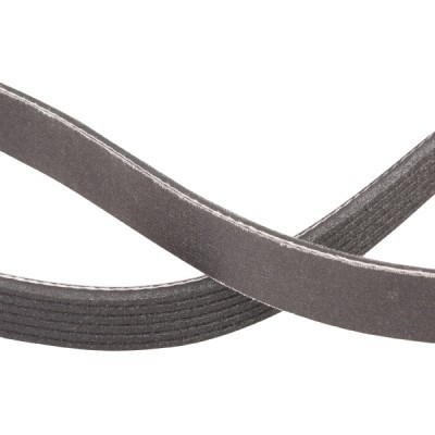 V-Ribbed Belt RIDEX 305P0185P 305P0185P - photo 5