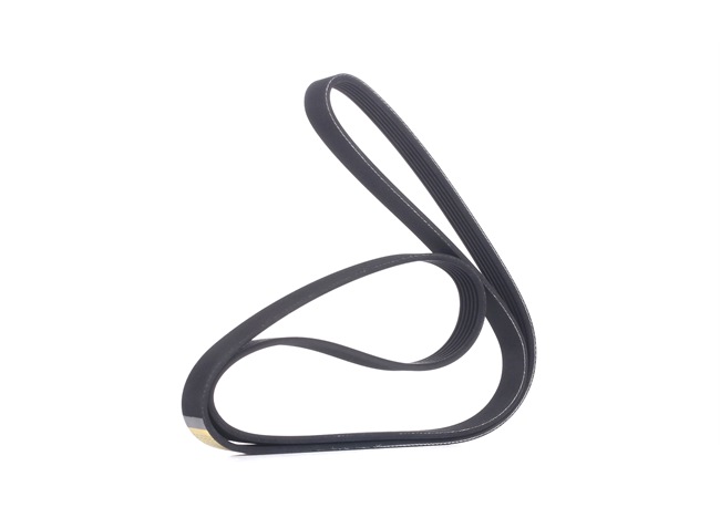 V-Ribbed Belt RIDEX 305P0175 305P0175 - photo 1