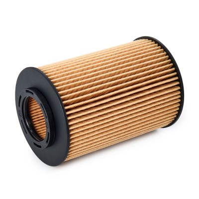 Oil Filter RIDEX 7O0118P 7O0118P - photo 3