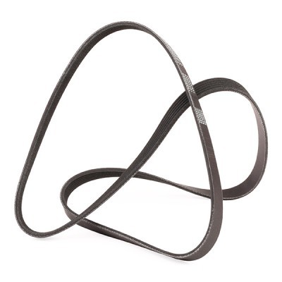 V-Ribbed Belt RIDEX 305P0080P 305P0080P - photo 3