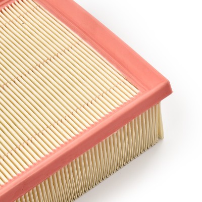 Air Filter RIDEX 8A0350 8A0350 - photo 10