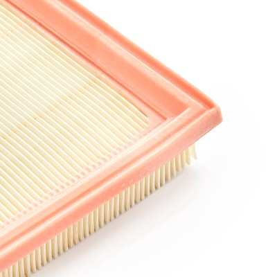 Air Filter RIDEX 8A0043 8A0043 - photo 10