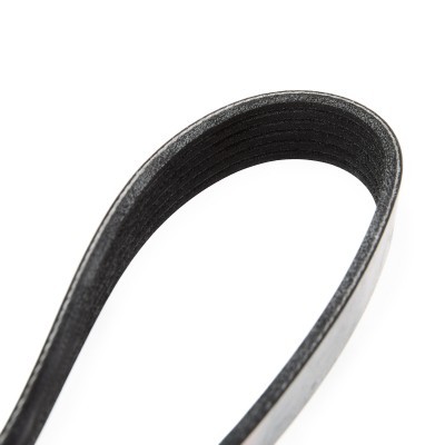 V-Ribbed Belt RIDEX 305P0051 305P0051 - photo 5