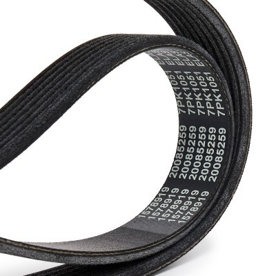 V-Ribbed Belt RIDEX 305P0655 305P0655 - photo 4