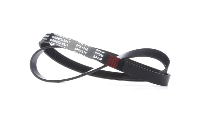 V-Ribbed Belt RIDEX 305P0066 305P0066 - photo 1