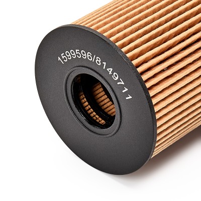 Oil Filter RIDEX 7O0017 7O0017 - photo 10