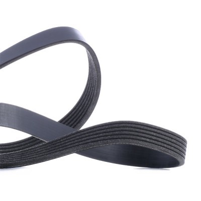 V-Ribbed Belt RIDEX 305P0060 305P0060 - photo 5