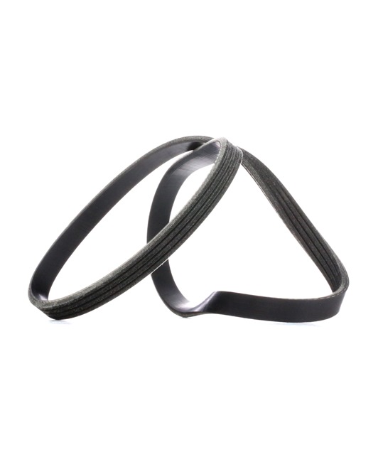 V-Ribbed Belt RIDEX 305P0018 305P0018 - photo 1