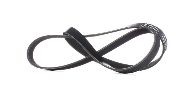 V-Ribbed Belt RIDEX 305P0306 305P0306 - photo 1