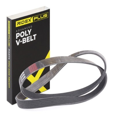 V-Ribbed Belt RIDEX 305P0060P 305P0060P - photo 2