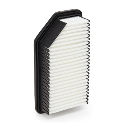 Air Filter RIDEX 8A0415 8A0415 - photo 9