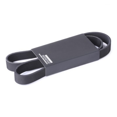V-Ribbed Belt RIDEX 305P0509 305P0509 - photo 2
