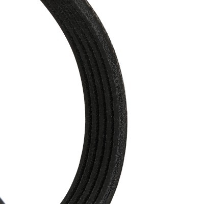 V-Ribbed Belt RIDEX 305P0207P 305P0207P - photo 5