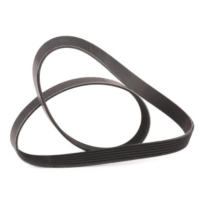 V-Ribbed Belt RIDEX 305P0397P 305P0397P - photo 3