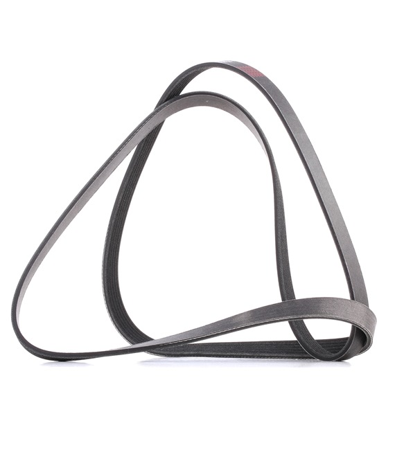 V-Ribbed Belt RIDEX 305P0089P 305P0089P - photo 1