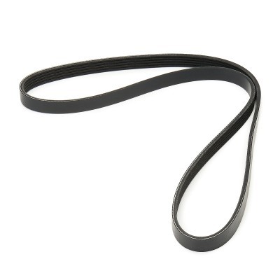 V-Ribbed Belt RIDEX 305P0545 305P0545 - photo 3