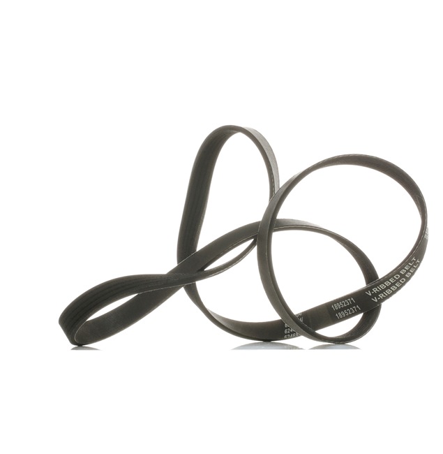 V-Ribbed Belt RIDEX 305P0137P 305P0137P - photo 1