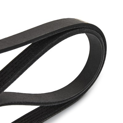 V-Ribbed Belt RIDEX 305P0503P 305P0503P - photo 4