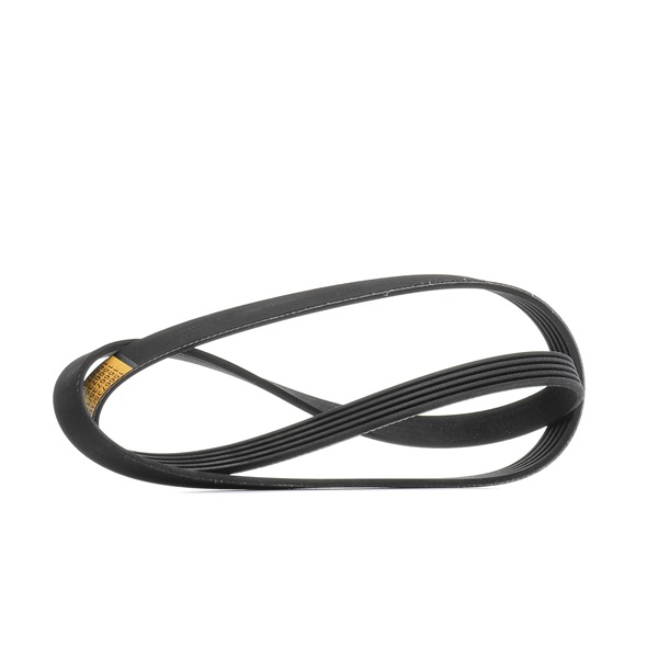 V-Ribbed Belt RIDEX 305P0505 305P0505 - photo 1