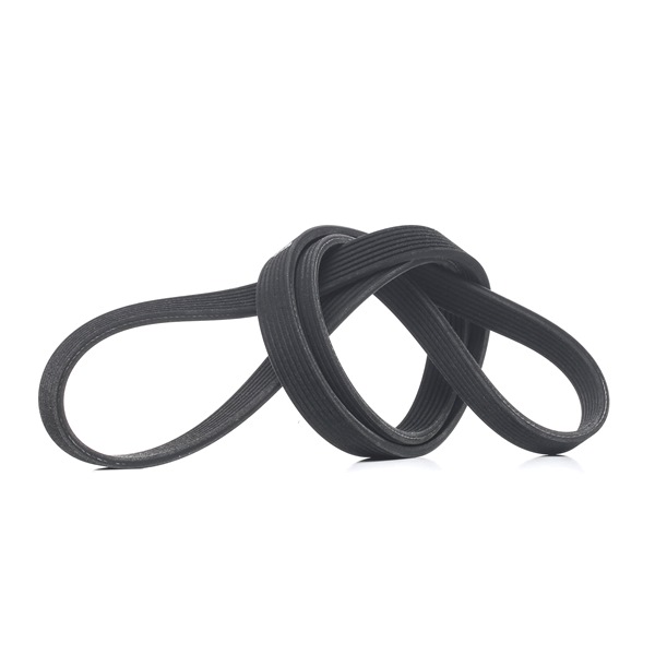 V-Ribbed Belt RIDEX 305P0460 305P0460 - photo 1