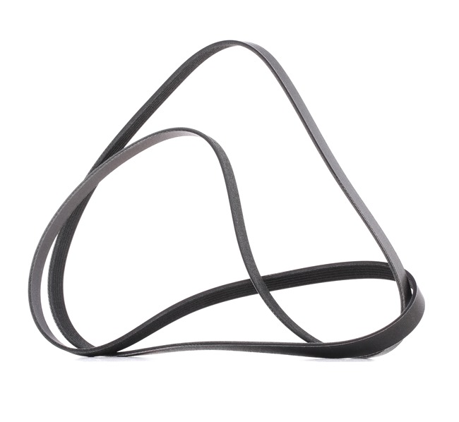 V-Ribbed Belt RIDEX 305P0531P 305P0531P - photo 1