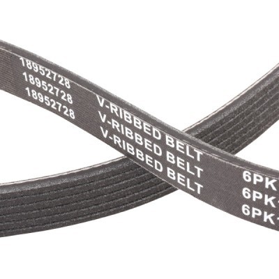 V-Ribbed Belt RIDEX 305P0175P 305P0175P - photo 5
