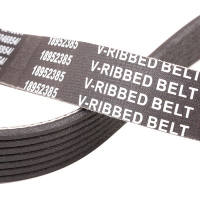V-Ribbed Belt RIDEX 305P0186P 305P0186P - photo 4