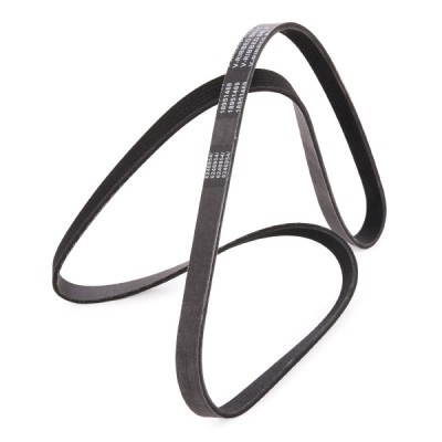 V-Ribbed Belt RIDEX 305P0081P 305P0081P - photo 3