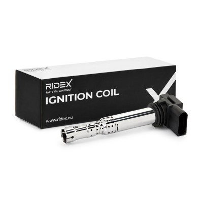 Ignition Coil RIDEX 689C0235 689C0235 - photo 2