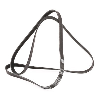 V-Ribbed Belt RIDEX 305P0365P 305P0365P - photo 3