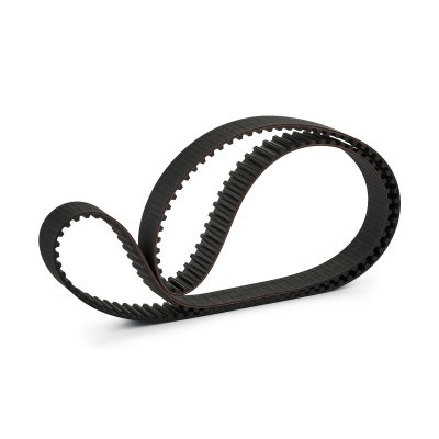 Timing Belt RIDEX 306T0104 306T0104 - photo 3
