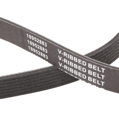 V-Ribbed Belt RIDEX 305P0323P 305P0323P - photo 6