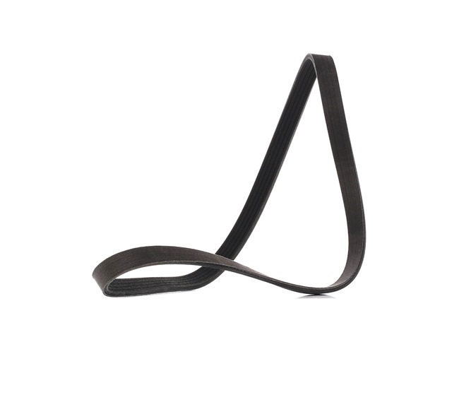 V-Ribbed Belt RIDEX 305P0148P 305P0148P - photo 1