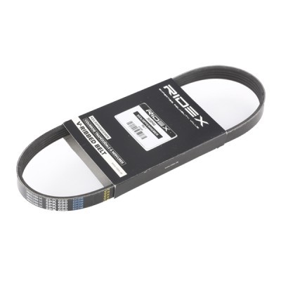 V-Ribbed Belt RIDEX 305P0117 305P0117 - photo 3