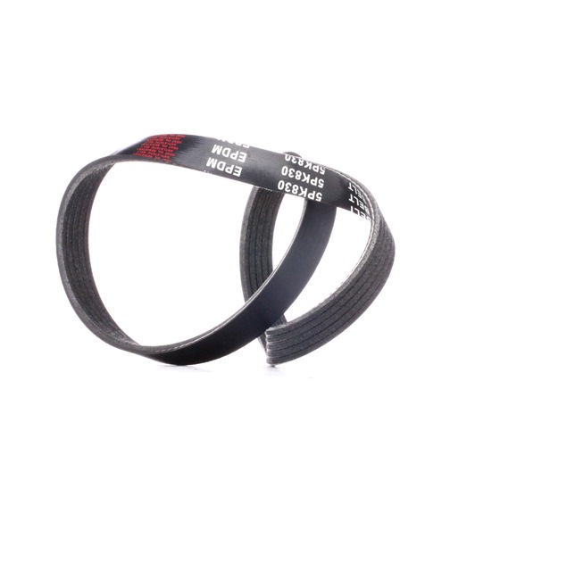 V-Ribbed Belt RIDEX 305P0197 305P0197 - photo 1