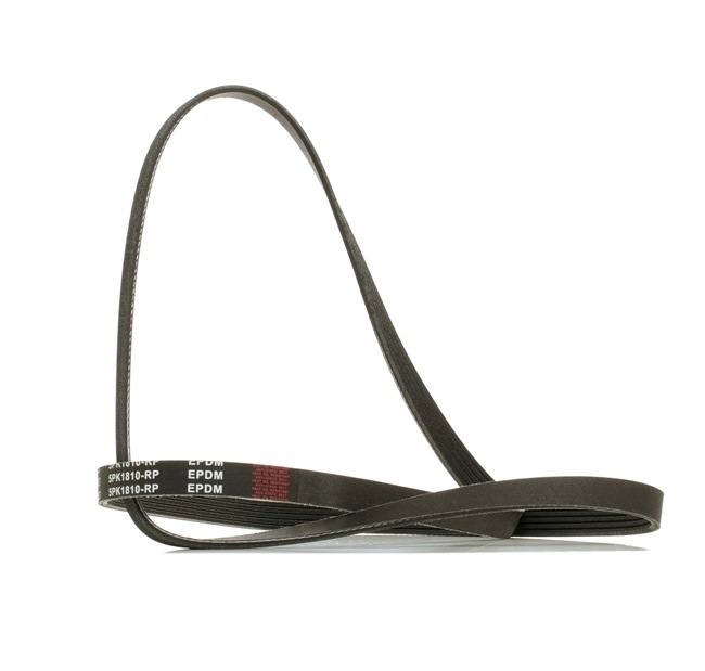 V-Ribbed Belt RIDEX 305P0353P 305P0353P - photo 1