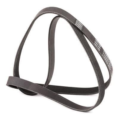 V-Ribbed Belt RIDEX 305P0073P 305P0073P - photo 3