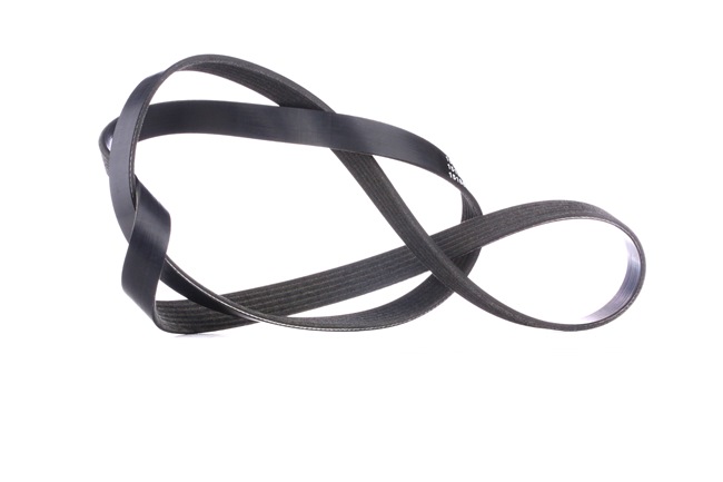 V-Ribbed Belt RIDEX 305P0123 305P0123 - photo 1