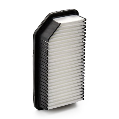 Air Filter RIDEX 8A0191 8A0191 - photo 9