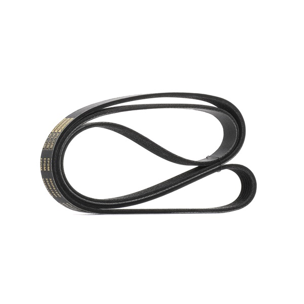 V-Ribbed Belt RIDEX 305P0169P 305P0169P - photo 1