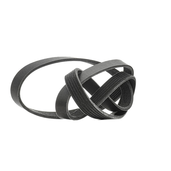 V-Ribbed Belt RIDEX 305P0079P 305P0079P - photo 1