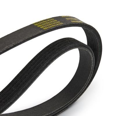 V-Ribbed Belt RIDEX 305P0029P 305P0029P - photo 5