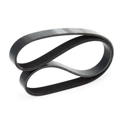 V-Ribbed Belt RIDEX 305P0050 305P0050 - photo 4