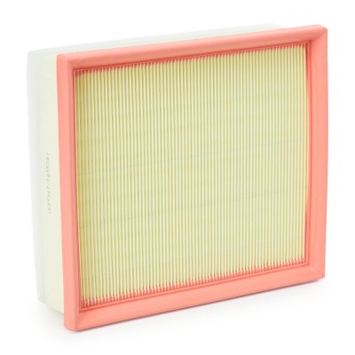 Air Filter RIDEX 8A0282 8A0282 - photo 9