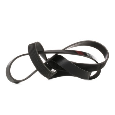 V-Ribbed Belt RIDEX 305P0310 305P0310 - photo 4