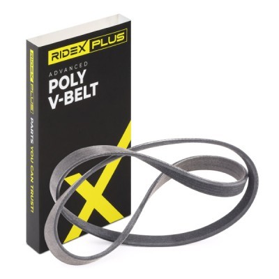 V-Ribbed Belt RIDEX 305P0037P 305P0037P - photo 2