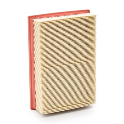 Air Filter RIDEX 8A0350 8A0350 - photo 9