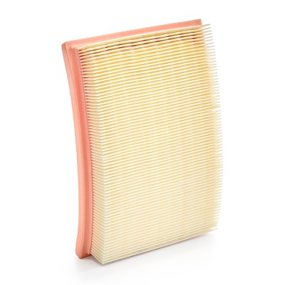 Air Filter RIDEX 8A0043 8A0043 - photo 9